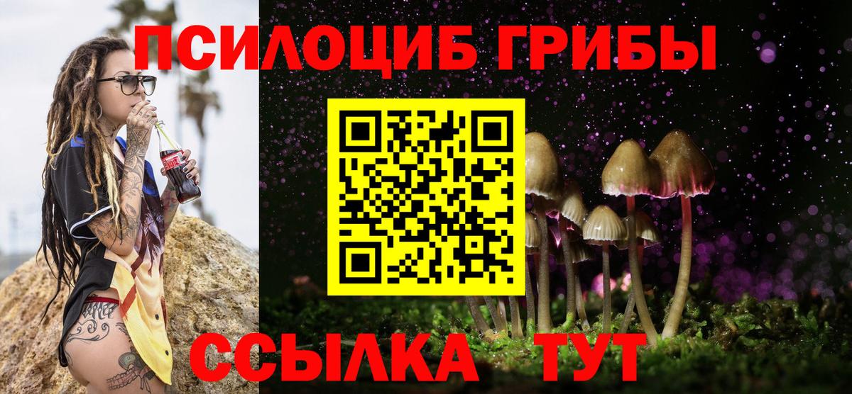 Галлюциногенные грибы Psilocybe Южно-Сахалинск